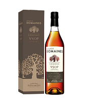 Коньяк четырехлетний ординарный Гран Домэн ВСОП 40% 0,7л в подарочной упаковке