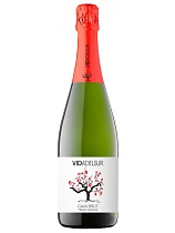 Игристое вино выдержанное Кава. Видадельсюр. Брют брют белое 11,5% 0,75л  Игристое вино выдержанное Кава. Видадельсюр. Брют брют белое 11,5% 0,75л