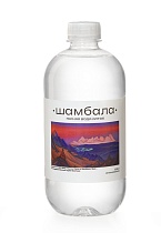 Мин.вода "Шамбала" природная столовая питьевая негаз 0,585л ПЭТ